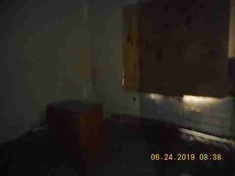 8066 Curt (24)_m.jpg